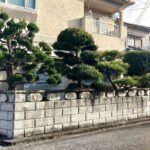 植木の剪定！姫路便利屋コンシェル★